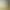 Проєкт Green Art Tour "Екологічний дослідницький пункт в Slobozhanskyi National Nature Park", Краснокутська селищна територіальна громада, Богодухівський район, Харківська область, став переможним у конкурсі проєктів за підтримки Посольства Республіки Словенія 