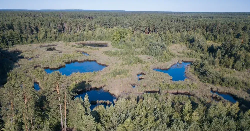 НПП "Слобожанський. Фото з відкритих джерел "Екологічний дослідницький пункт в НПП "Слобожанський" - місце зустрічі краснокутців із природою рідного краю (ВІДЕО) на порталі Gromada Group