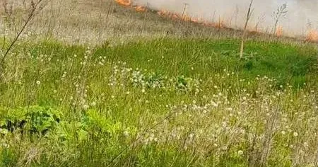 Фото ілюстративне Краснокутцям нагадали про заборону випалювання стерні, луків, пасовищ на порталі Gromada Group